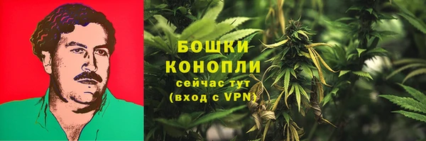 соль ск Костерёво