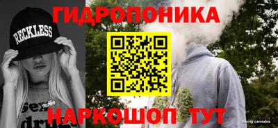 молекула духа Будённовск