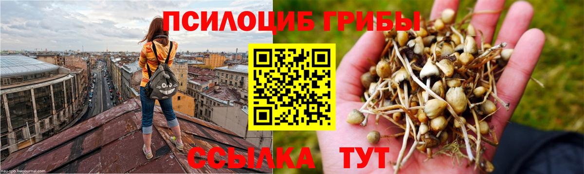 Галлюциногенные грибы MAGIC MUSHROOMS Вятские Поляны